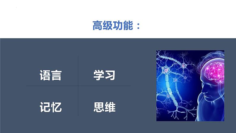 2022-2023学年高二上学期生物人教版选择性必修一2.5人脑的高级功能课件第5页