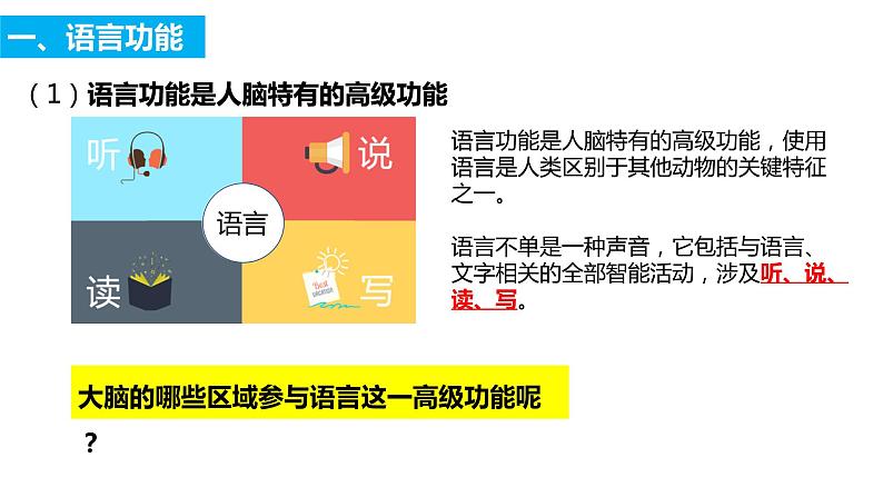 2022-2023学年高二上学期生物人教版选择性必修一2.5人脑的高级功能课件第6页