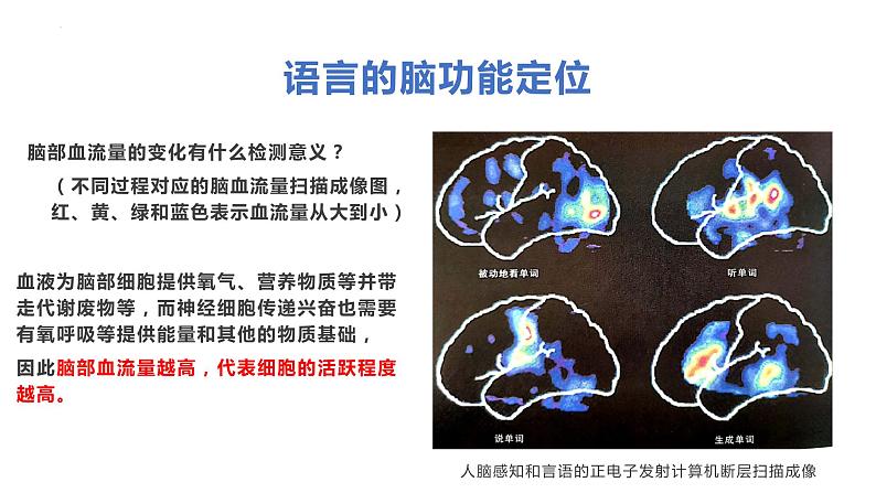 2022-2023学年高二上学期生物人教版选择性必修一2.5人脑的高级功能课件第7页