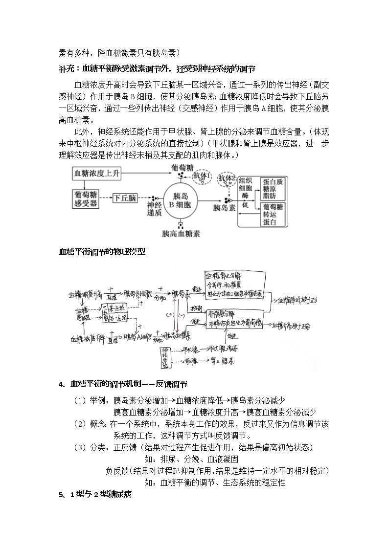 3.2 激素调节的过程 教案（2课时）03