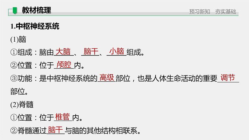 第一章人体稳态维持的生理基础 第一节 神经调节 第1课时 神经系统的组成(学案+课件)05