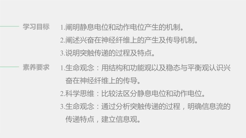 第一章人体稳态维持的生理基础  第一节　神经调节 第2课时 动作电位的产生和传导及神经冲动在神经细胞之间的传递（学案+课件）02