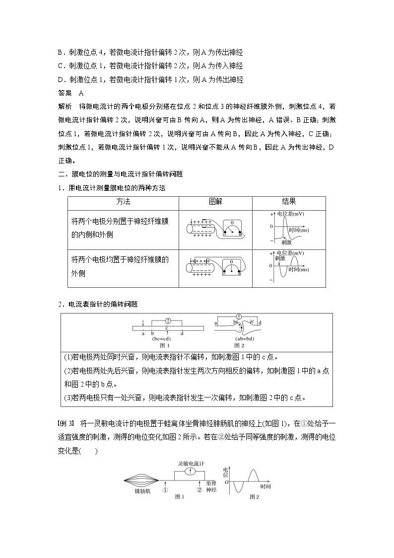 高中生物苏教版（2019）选择性必修1第一章 微专题一 动作电位的传导与传递相关实验分析题 （学案+课件）02