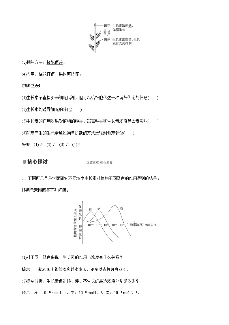 高中生物苏教版（2019）选择性必修一第四章  第一节 第2课时 生长素的生理作用（学案+课件）02