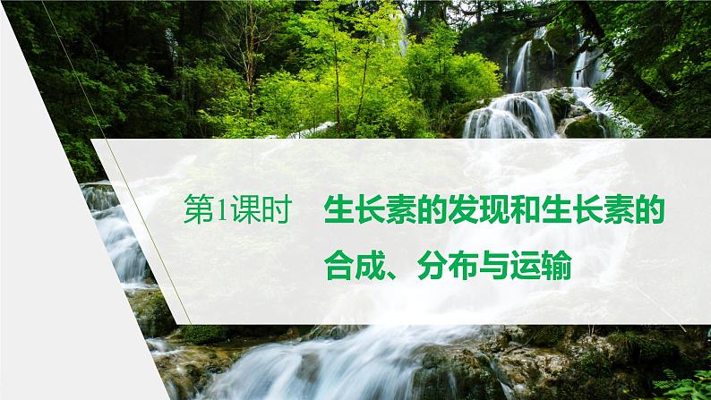 高中生物苏教版(2019)选择性必修一第四章 第一节 第1课时 生长素的发现和生长素的合成、分布与运输(学案+课件81张ppt)01