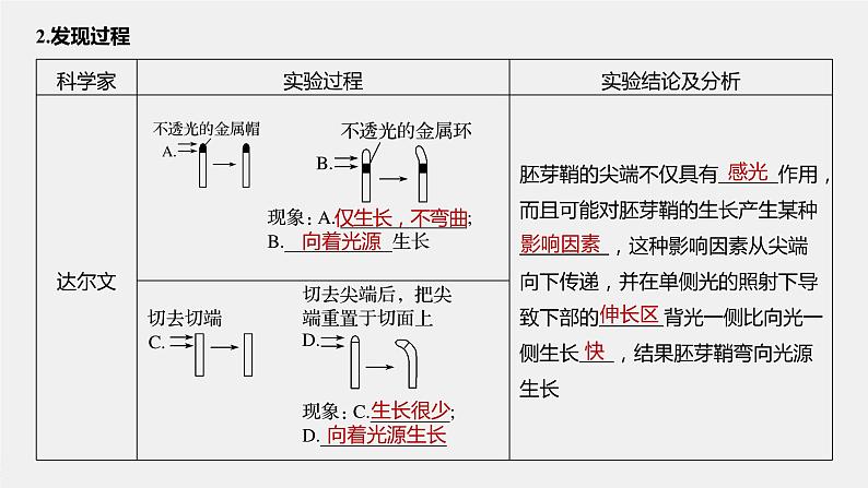高中生物苏教版(2019)选择性必修一第四章 第一节 第1课时 生长素的发现和生长素的合成、分布与运输(学案+课件81张ppt)06