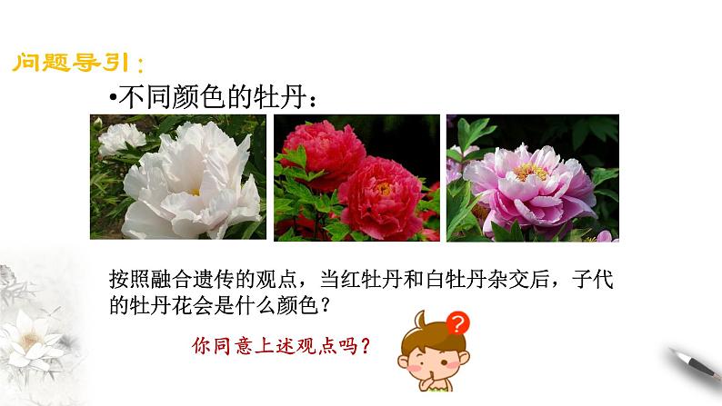 【新教材精创】1.1.1 孟德尔的豌豆杂交实验(一) 课件(2)-人教版高中生物必修2遗传与进化(共26张PPT)第4页