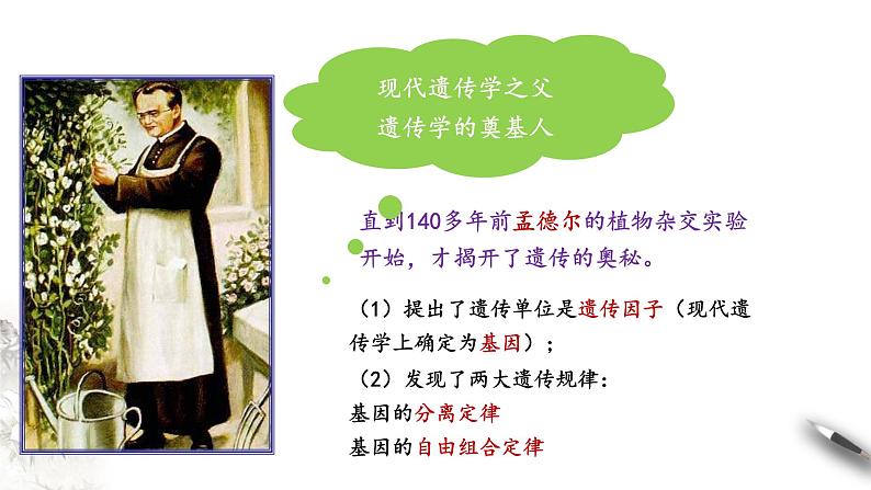 【新教材精创】1.1.1 孟德尔的豌豆杂交实验(一) 课件(2)-人教版高中生物必修2遗传与进化(共26张PPT)第5页