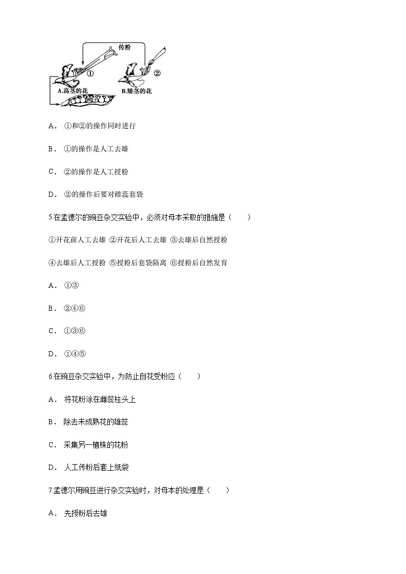 【新教材精创】1.1.1 孟德尔的豌豆杂交实验(一) 练习(1)(原卷版)第2页