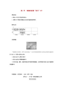 高中生物第2节 细胞的能量“货币”ATP导学案