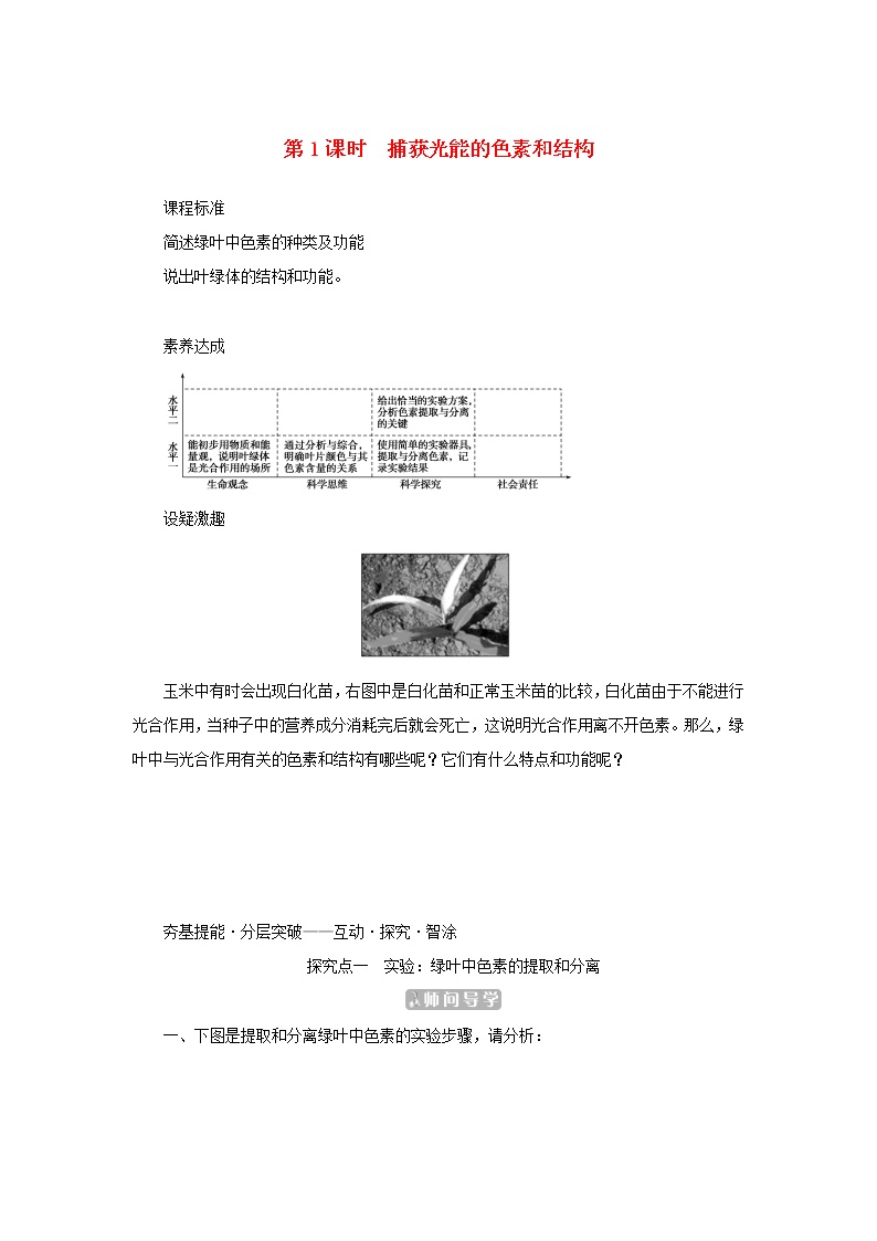 高中生物人教版 (2019)必修1《分子与细胞》一 捕获光能的色素和结构第1课时学案