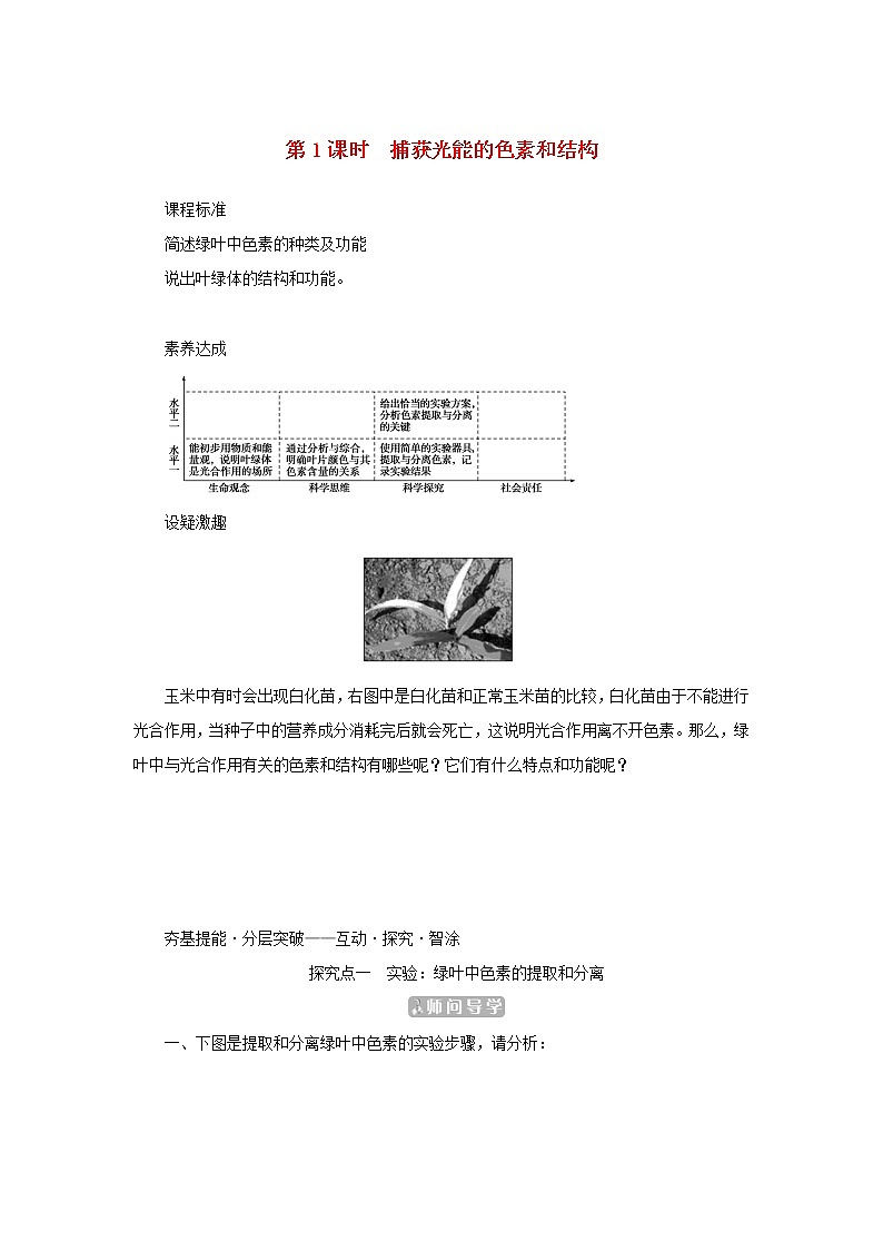 2022_2023学年新教材高中生物第5章细胞的能量供应和利用第4节光合作用与能量转化第1课时捕获光能的色素和结构课堂互动探究案新人教版必修1 学案01