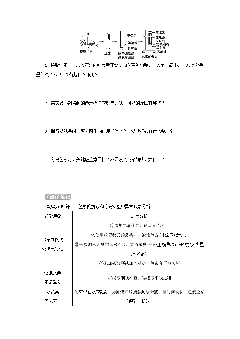 2022_2023学年新教材高中生物第5章细胞的能量供应和利用第4节光合作用与能量转化第1课时捕获光能的色素和结构课堂互动探究案新人教版必修1 学案02