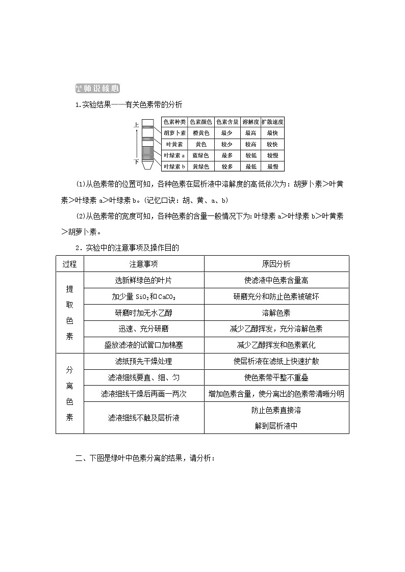 2022_2023学年新教材高中生物第5章细胞的能量供应和利用第4节光合作用与能量转化第1课时捕获光能的色素和结构课堂互动探究案新人教版必修1 学案03