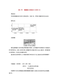 人教版 (2019)必修1《分子与细胞》第2节 细胞器之间的分工合作导学案