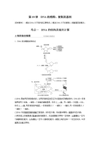 18 2022年高考生物一轮复习（新高考版2(鲁辽)适用） 第6单元 第18讲 DNA的结构、复制及基因