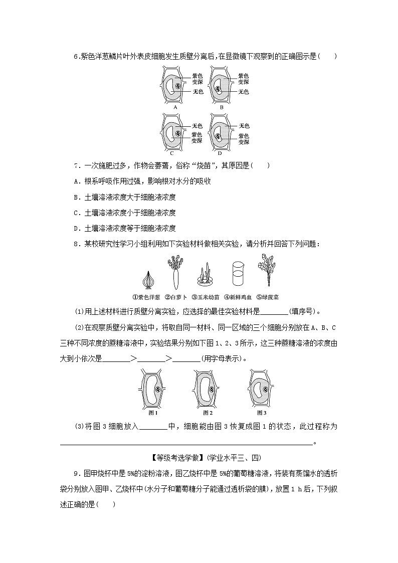 2022_2023学年新教材高中生物课后分层检测案12被动运输新人教版必修102