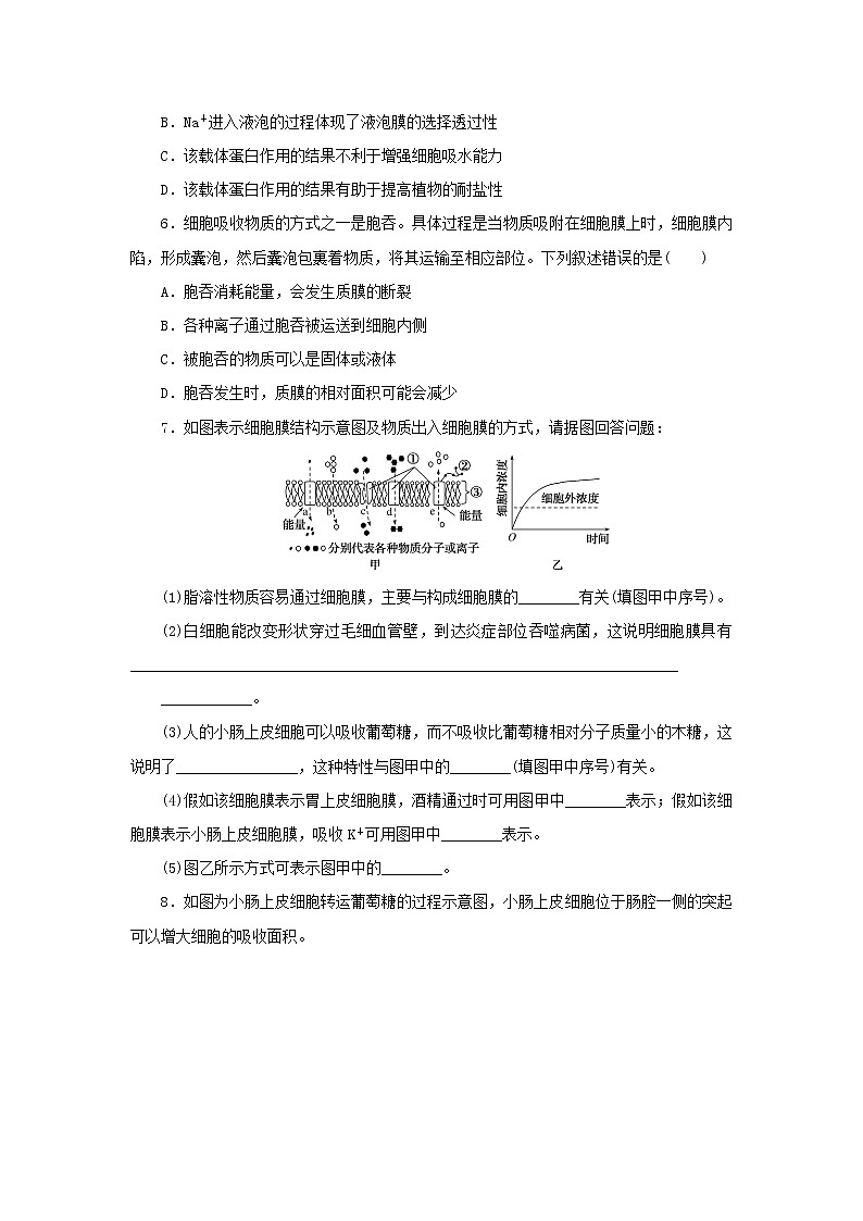 2022_2023學年新教材高中生物課后分層檢測案13主動運輸與胞吞胞吐新人教版必修1第2頁