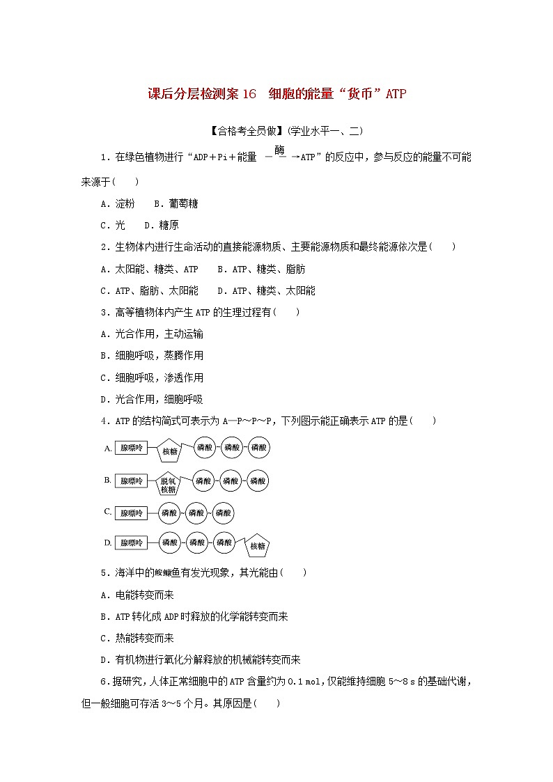 2022_2023學(xué)年新教材高中生物課后分層檢測案16細(xì)胞的能量“貨幣”ATP新人教版必修1第1頁