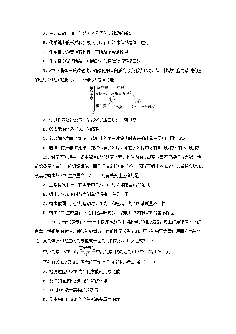 2022_2023學(xué)年新教材高中生物課后分層檢測案16細(xì)胞的能量“貨幣”ATP新人教版必修1第3頁