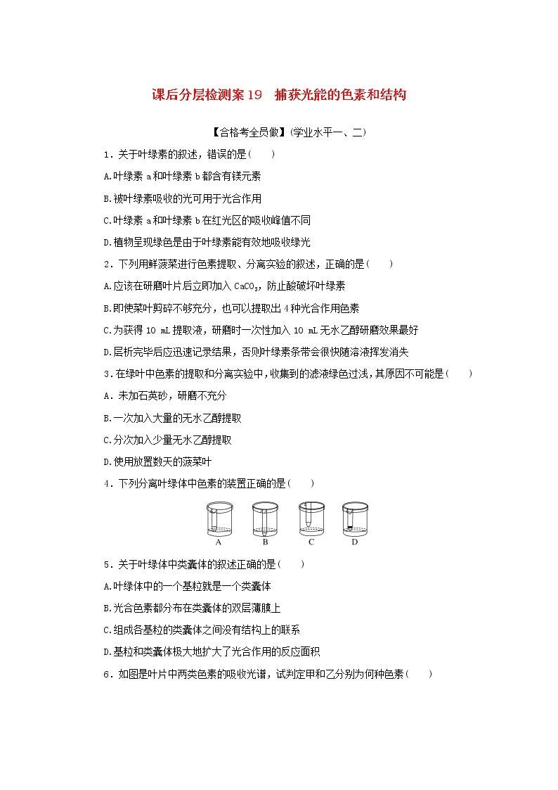 2022_2023学年新教材高中生物课后分层检测案19捕获光能的色素和结构新人教版必修101