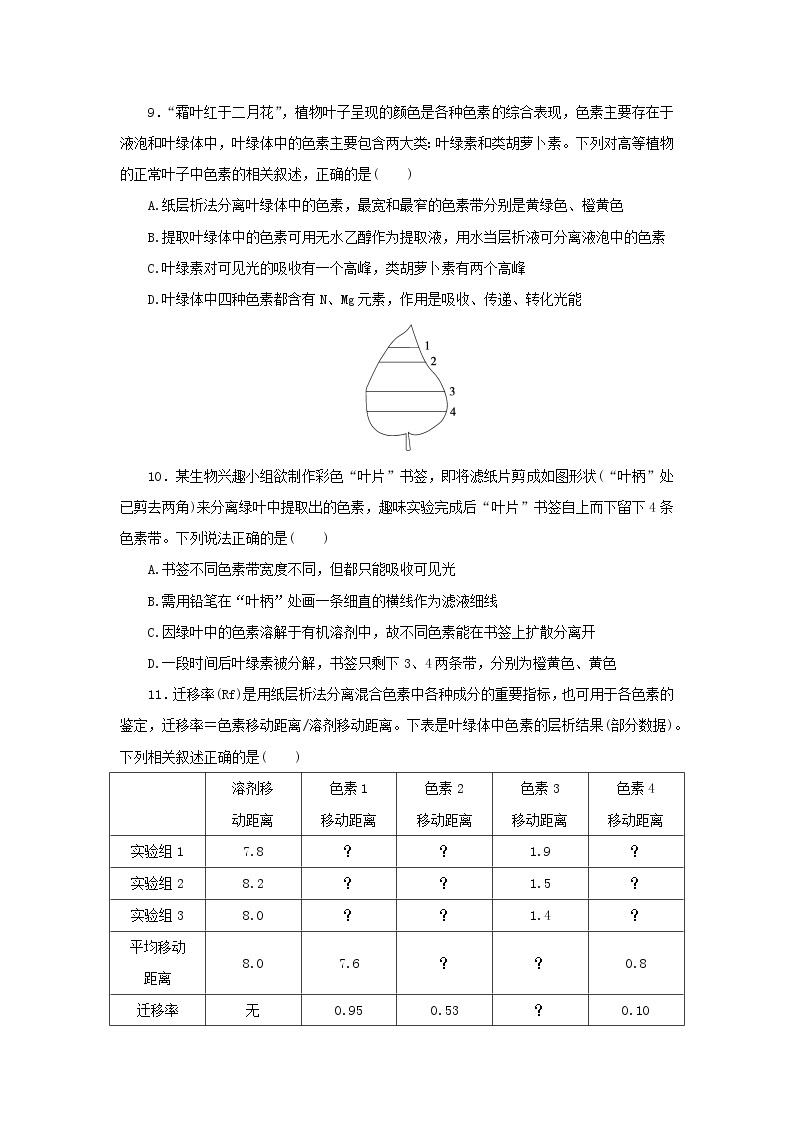 2022_2023学年新教材高中生物课后分层检测案19捕获光能的色素和结构新人教版必修103