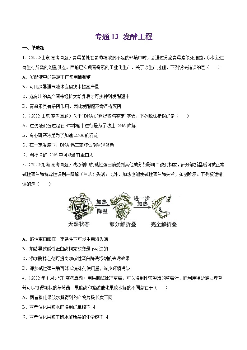 专题13 发酵工程-十年(2013-2022)高考生物真题分项汇编(全国通用)(原卷版)第1页