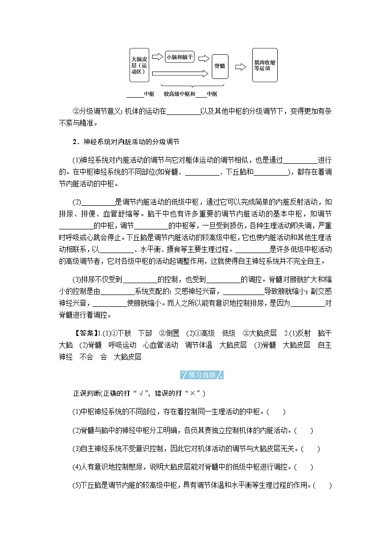 人教版高中生物选择性必修1第2章第4节神经系统的分级调节学案02