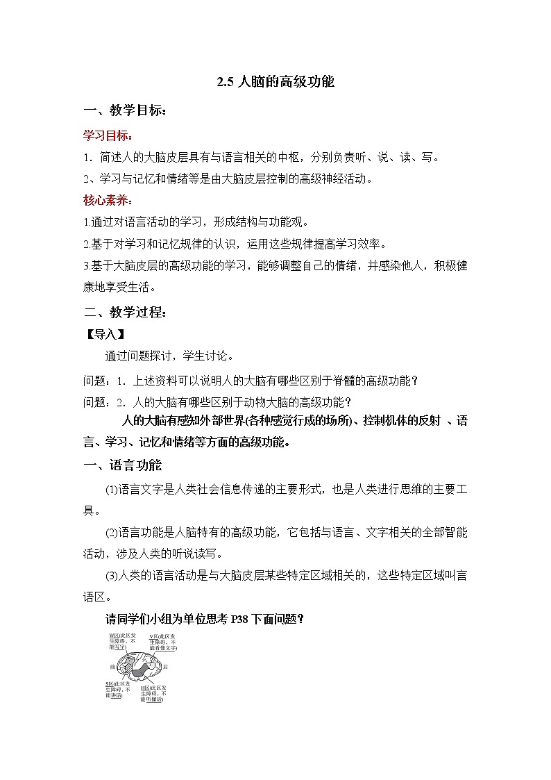 2.5人脑的高级功能教案 高二上学期生物人教版(2019)选择性必修一01