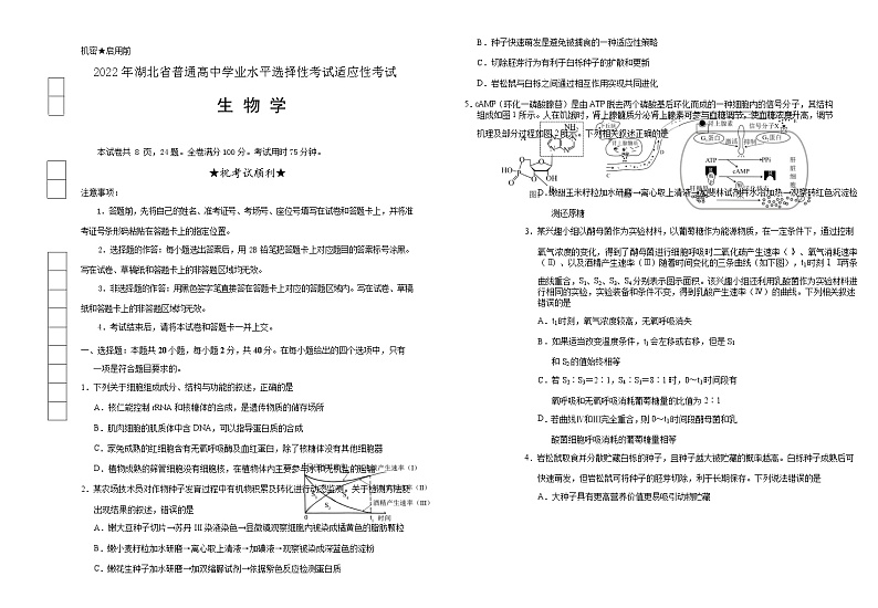2022届湖北省襄阳市第四中学高三第四次适应性考试生物试卷含答案01