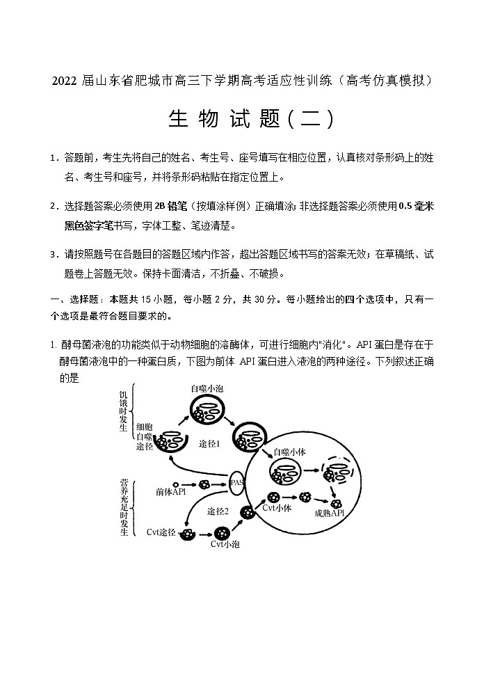 2022届山东省肥城市高三下学期高考适应性训练(高考仿真模拟)生物试题(二)含答案01