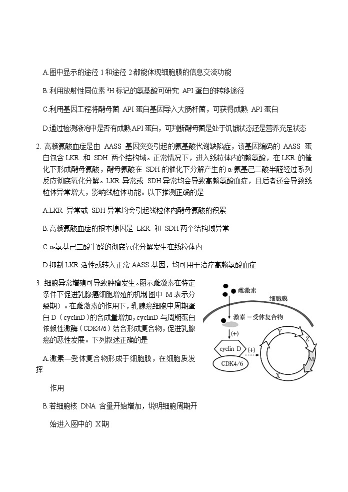 2022届山东省肥城市高三下学期高考适应性训练(高考仿真模拟)生物试题(二)含答案02