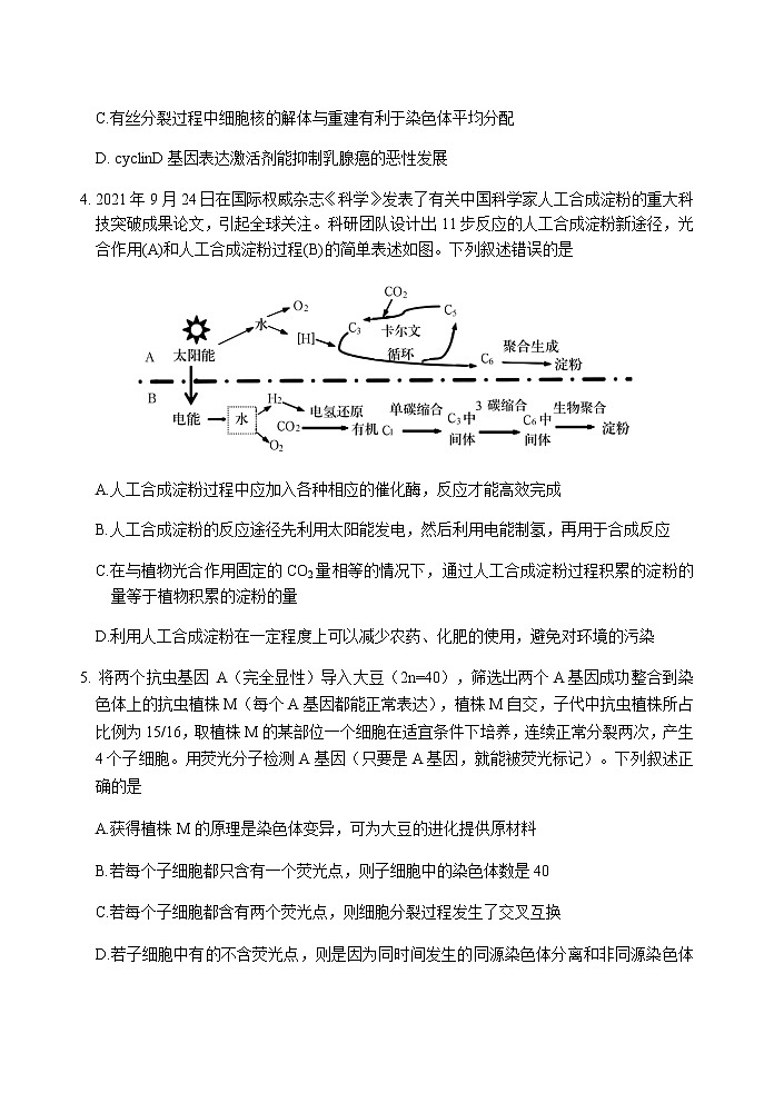 2022届山东省肥城市高三下学期高考适应性训练(高考仿真模拟)生物试题(二)含答案03