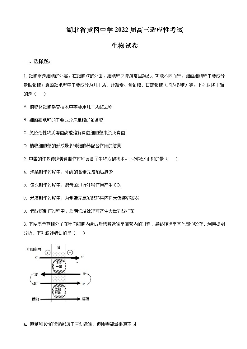 2022届湖北省黄冈中学高三第四次模拟(四模)考试生物试题含解析第1页