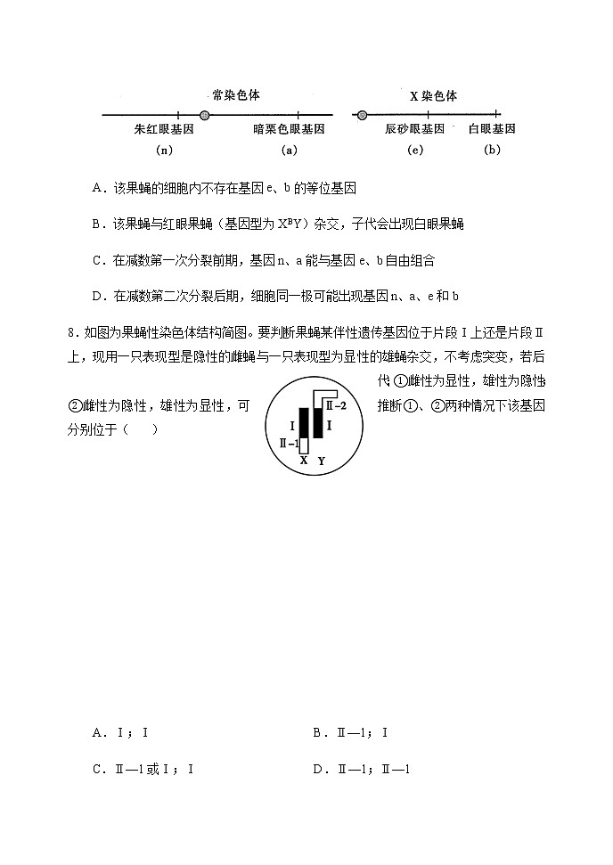 2021-2022学年河南省南阳市第一中学校高一下学期第四次月考生物试题含答案第3页