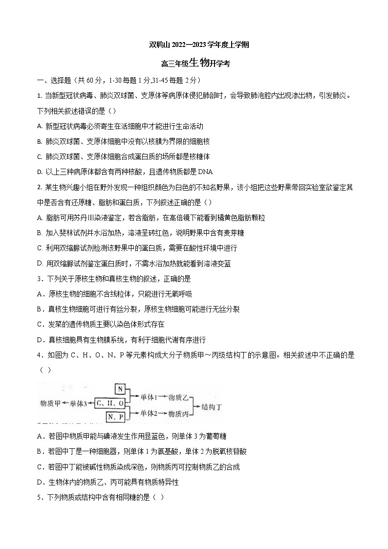 2023届黑龙江省双鸭山市第一中学高三上学期开学考试生物试题01