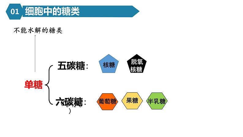 人教版高一生物必修一课件2.3细胞中的糖类和脂质06