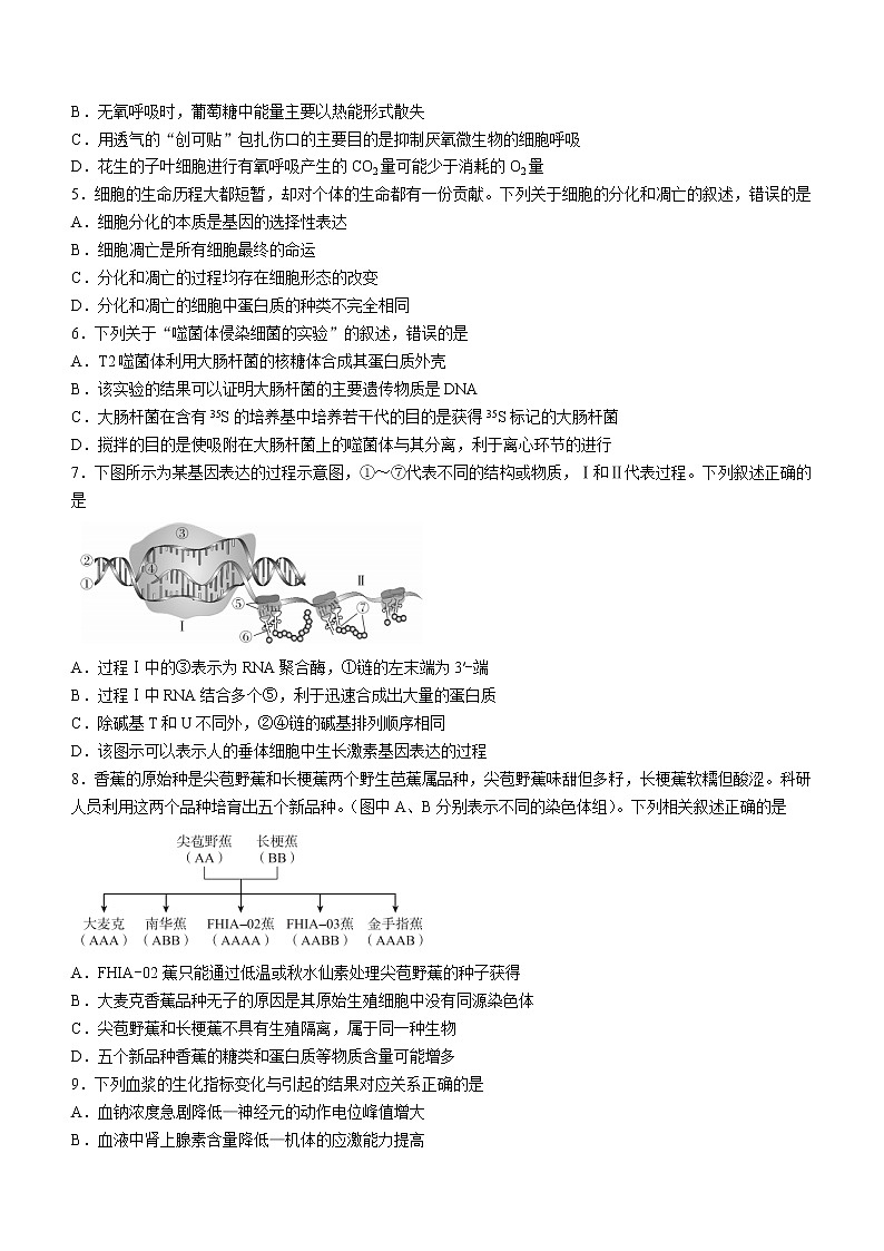 2023深圳光明区高三上学期第一次模拟考试(8月)生物含解析02