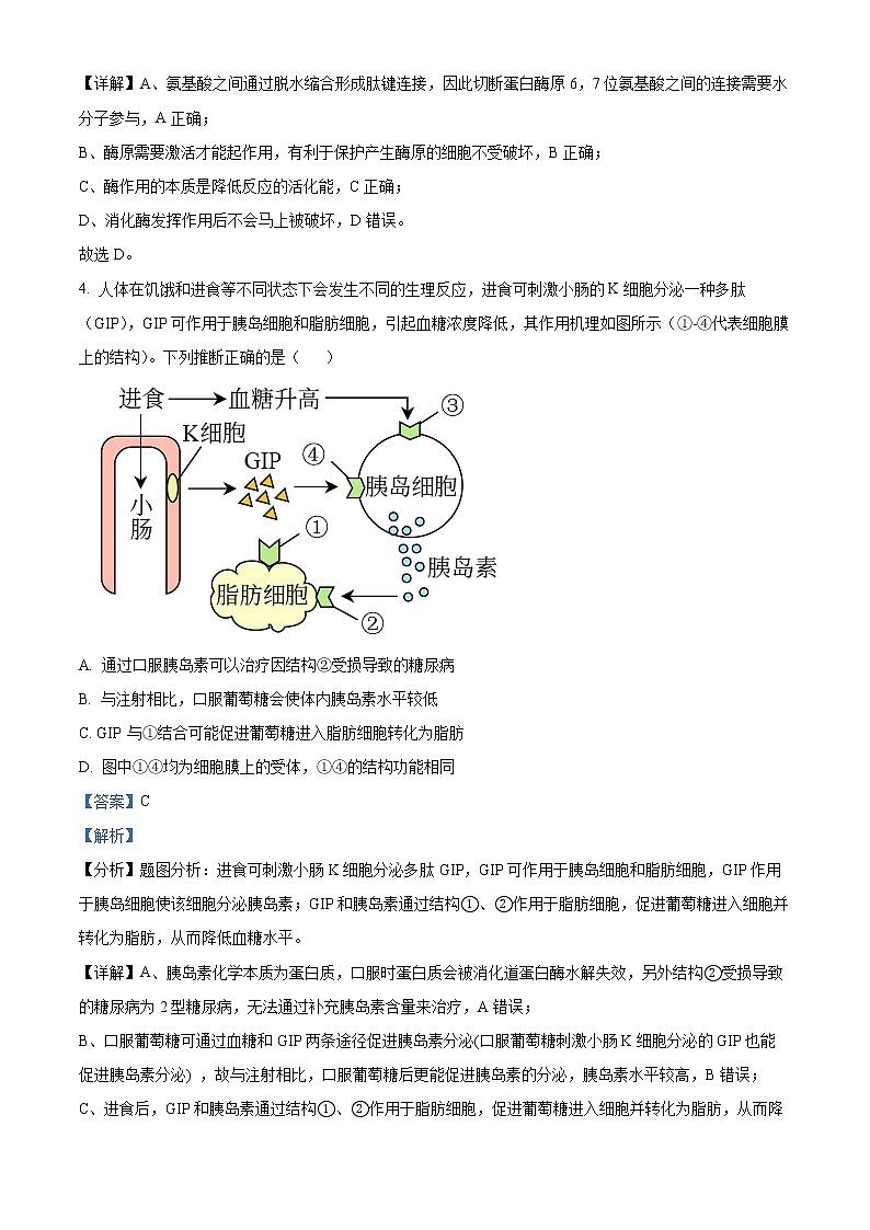 2022烟台高二下学期期末考试生物试题含解析03