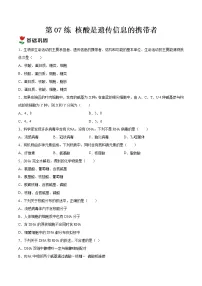 高中人教版 (2019)第2章 组成细胞的分子第5节 核酸是遗传信息的携带者精品课后复习题