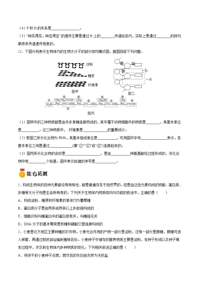 第07练 核酸是遗传信息的携带者-【每课一练】2022-2023学年高一生物同步分层练（人教版2019必修1）03