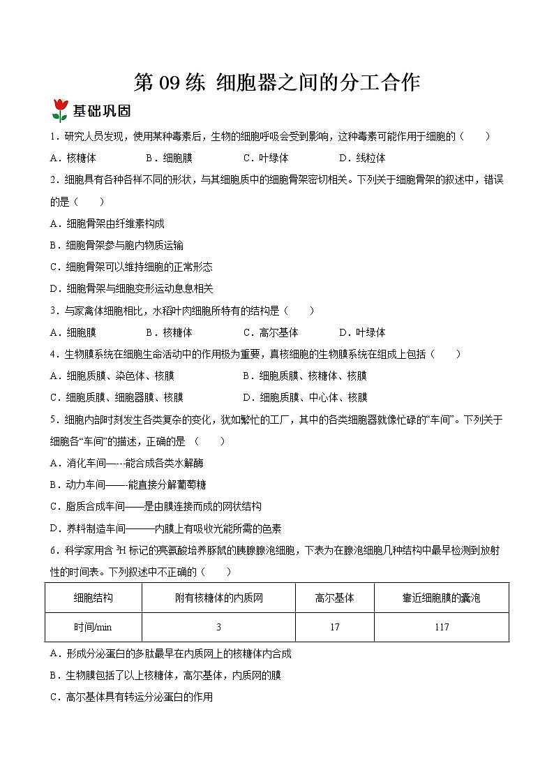 第09练 细胞器之间的分工合作-【每课一练】高一生物同步分层练(人教版2019必修第一册)01
