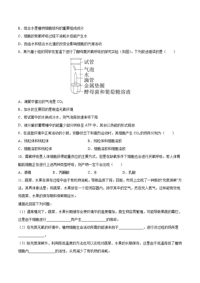 第16练 细胞呼吸的原理与应用-【每课一练】2022-2023学年高一生物同步分层练（人教版2019必修1）02