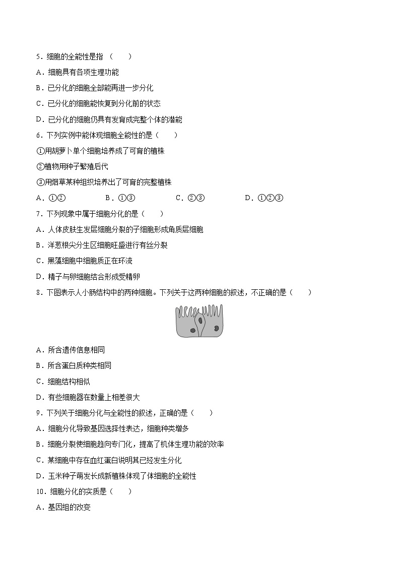 第20练 细胞的分化-【每课一练】2022-2023学年高一生物同步分层练（人教版2019必修1）02