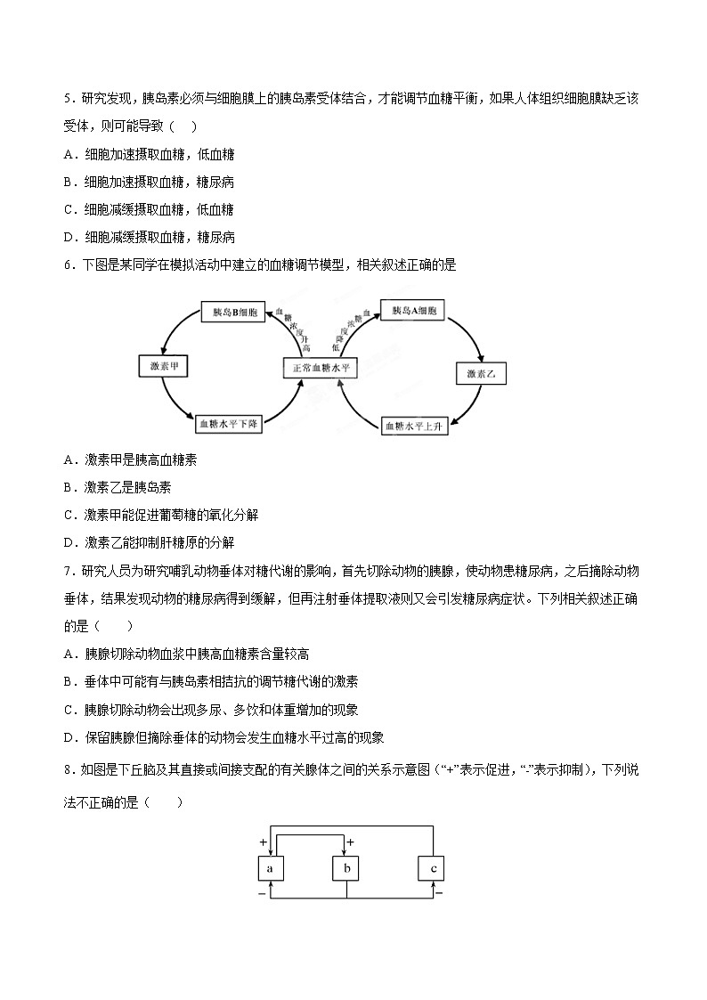 3.2 激素调节的过程-2022-2023学年高二上学期课时同步练(2019人教版选择性必修1)(原卷版)第2页