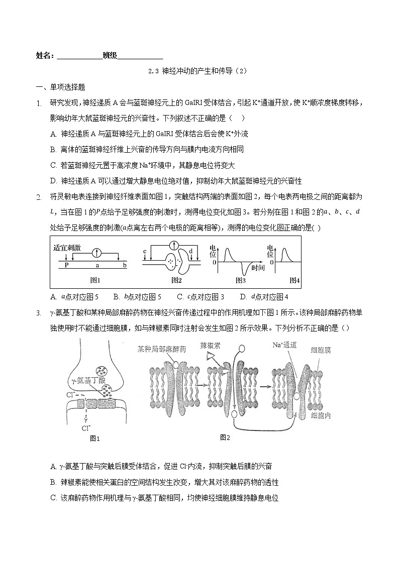 2.3 神经冲动的产生和传导(二)-2022-2023学年高二课后培优练(人教版选择性必修1)(原卷版)第1页