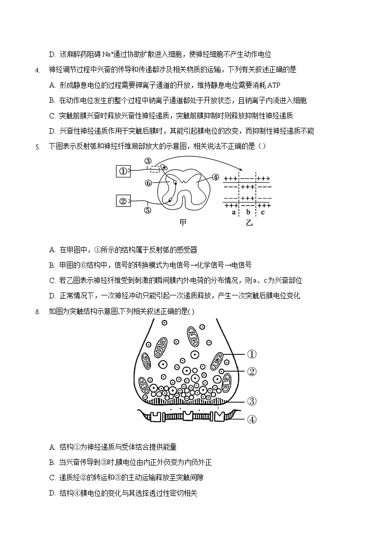 2.3 神经冲动的产生和传导(二)-2022-2023学年高二课后培优练(人教版选择性必修1)(原卷版)第2页