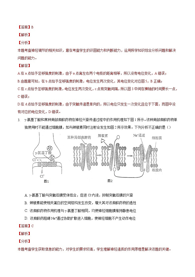 2.3 神经冲动的产生和传导(二)-2022-2023学年高二课后培优练(人教版选择性必修1)(解析版)第2页