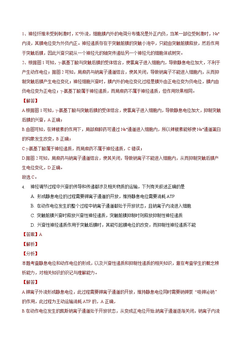 2.3 神经冲动的产生和传导(二)-2022-2023学年高二课后培优练(人教版选择性必修1)(解析版)第3页