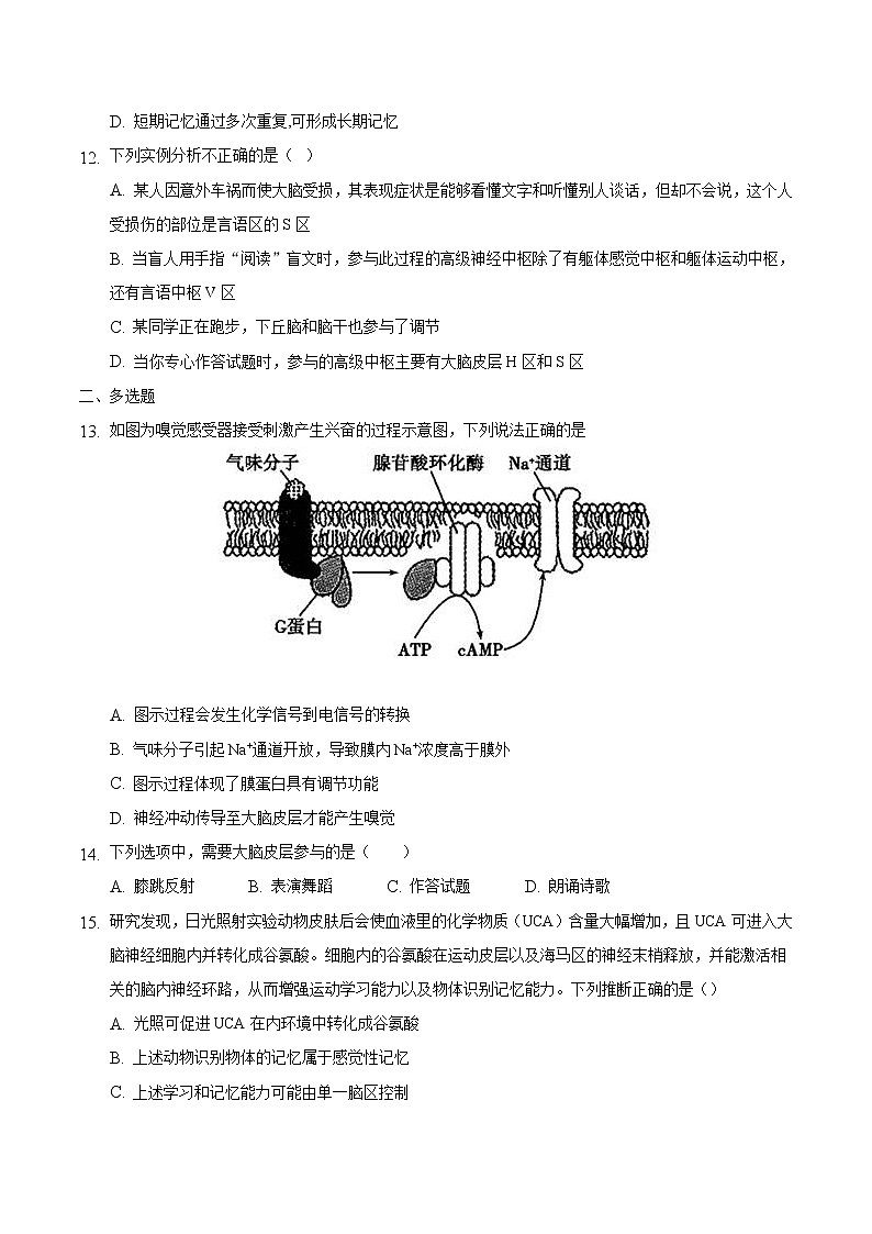 2.5 人脑的高级功能-2022-2023学年高二生物课后培优练(人教版选择性必修1)03